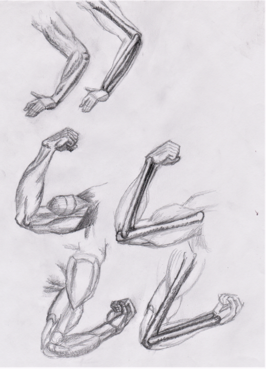 Arms and bone configuration