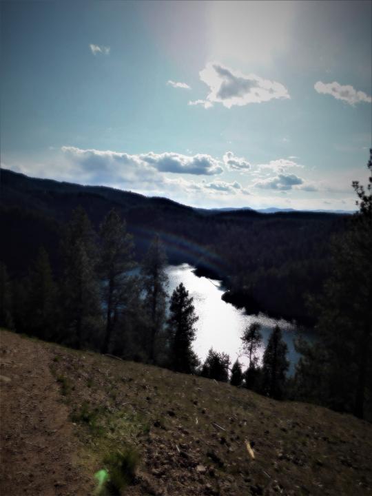 Sunlight on the River