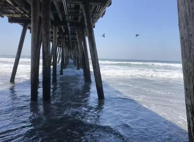 Beach Vibes