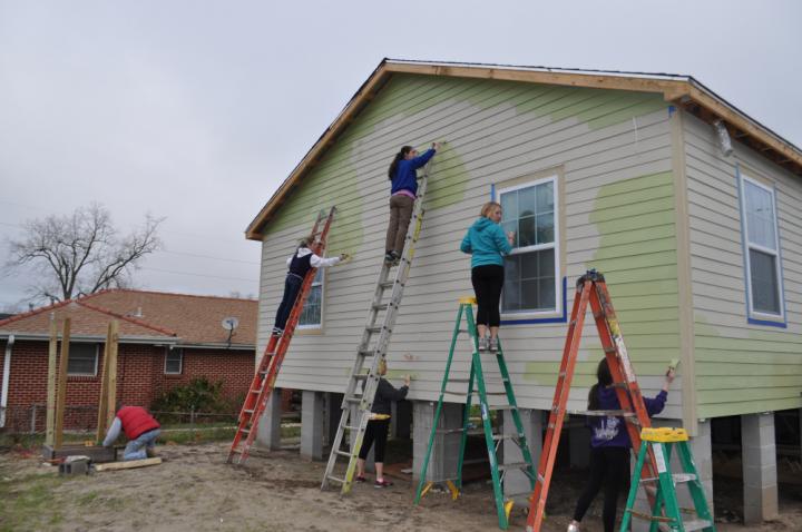 Painting A House