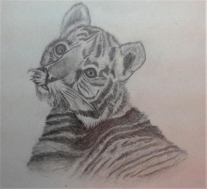 Tiger Cub attempt 1