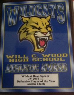 Defensive player of the year