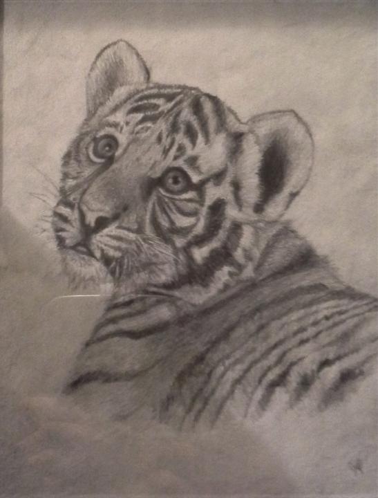Tiger Cub Attempt 2