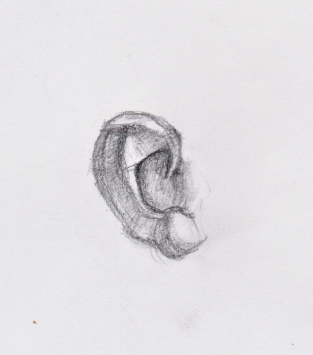 The Ear