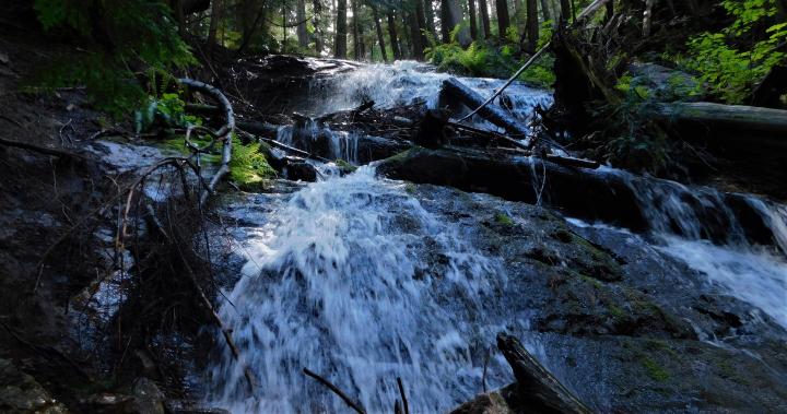 Liberty Lake Falls
