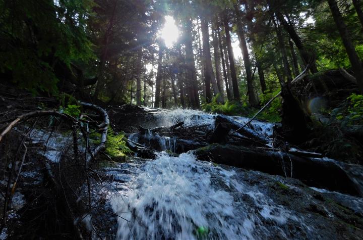 Liberty Lake Falls 