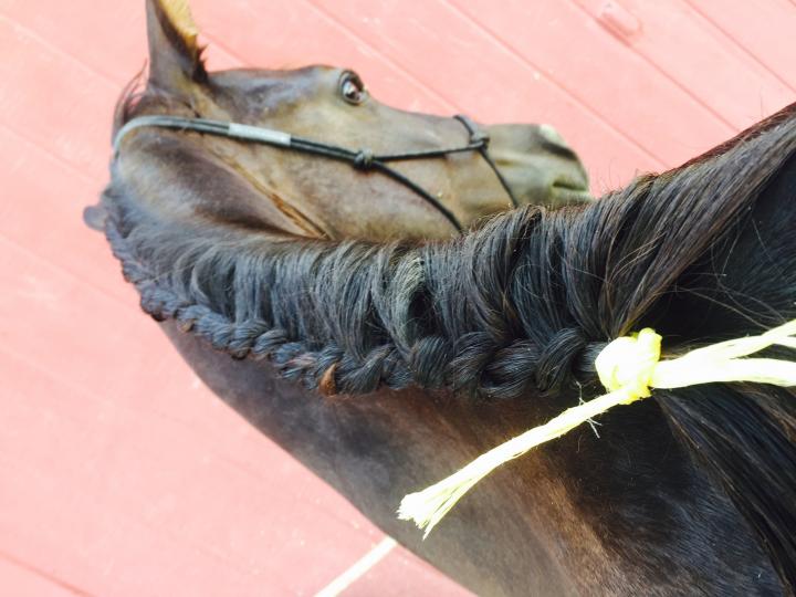 First Braid