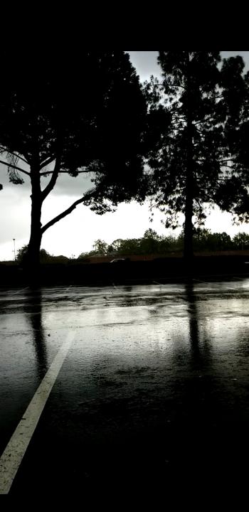 Rain