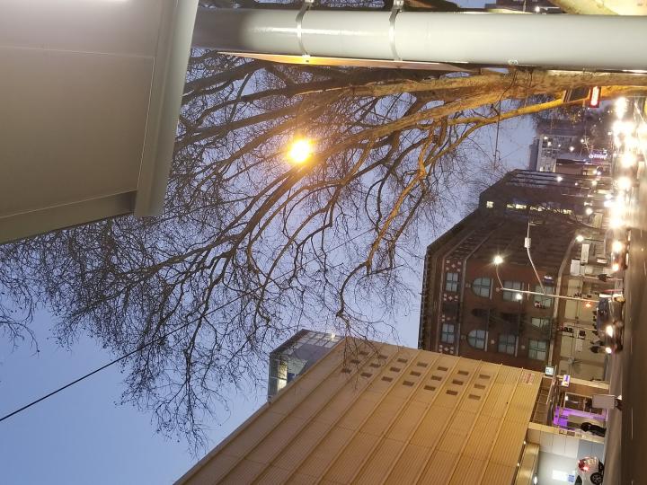 Downtown