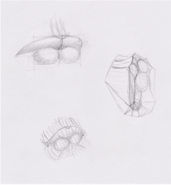 Mouth 2