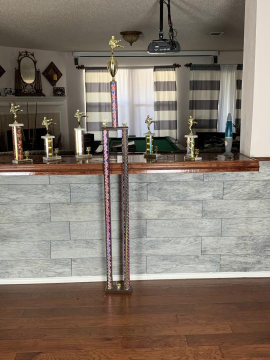 Taekwondo Trophies