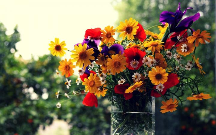 Flowers (Before)