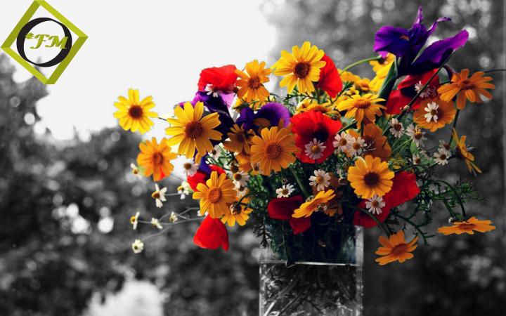Flowers (After)