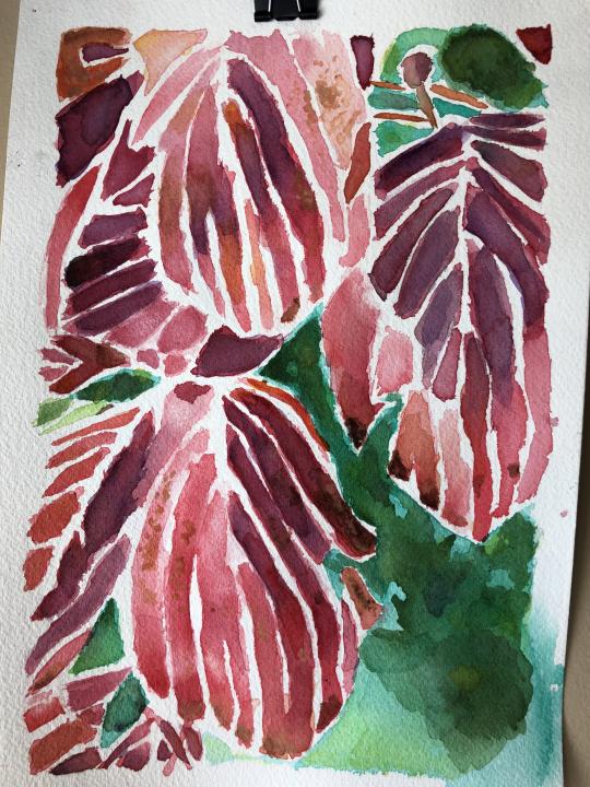 Fall Leaves