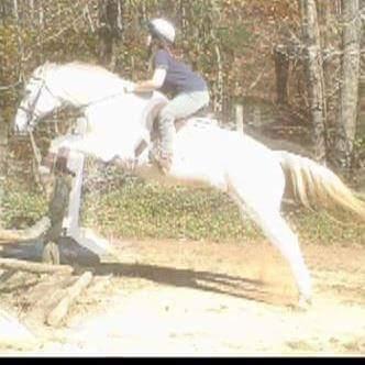 Equestrianism