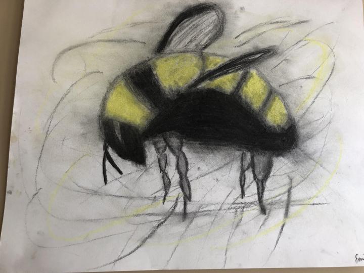 The Bee