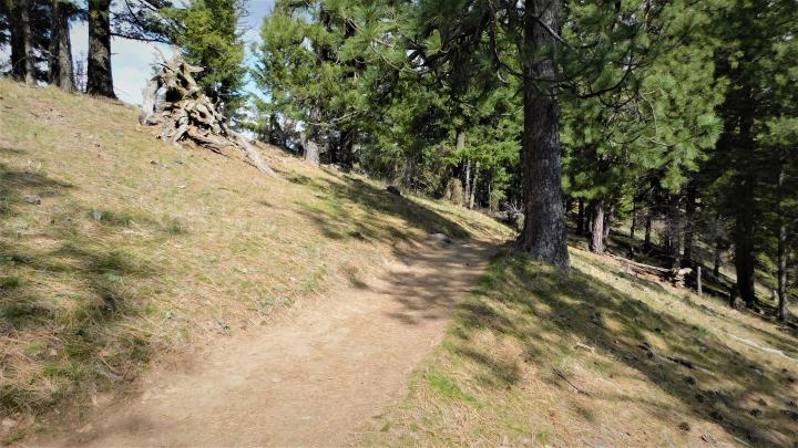Trail