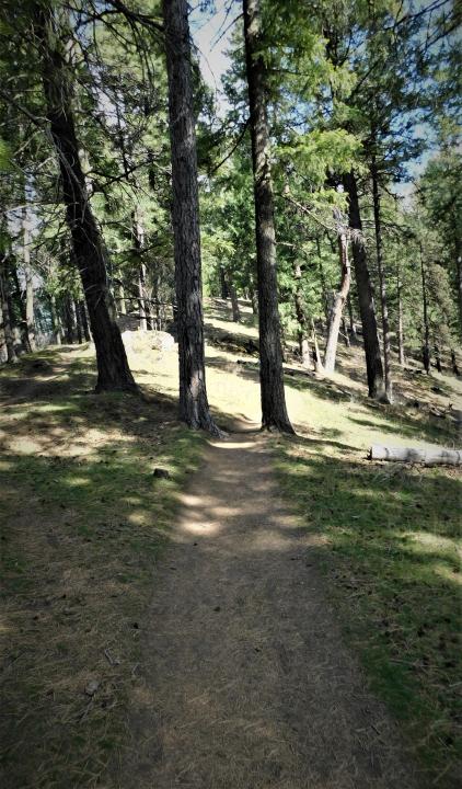 Trail 2