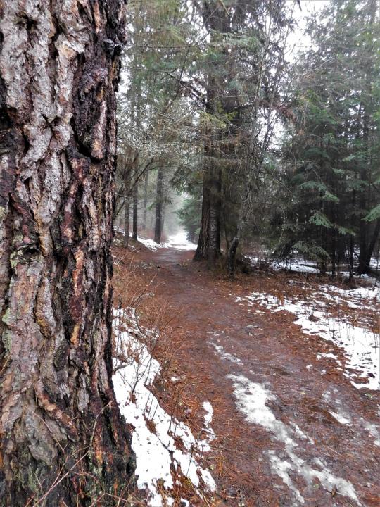 Trail1