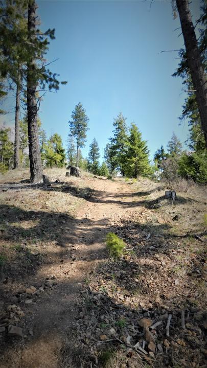 Trail up