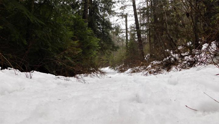 Trail3
