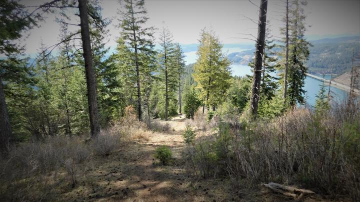 Down the Hills
