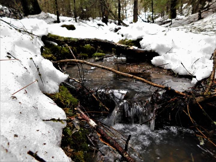 Brook 2