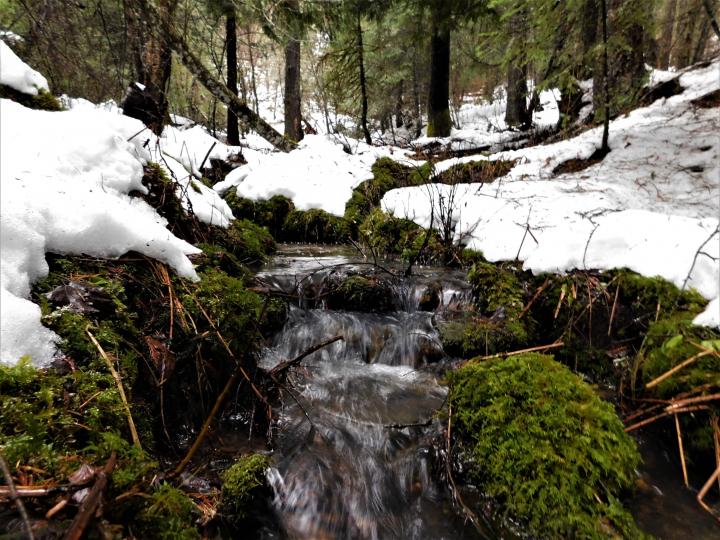 Brook 3