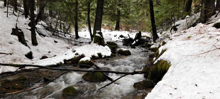 Stream 1