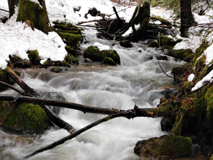 Stream 2