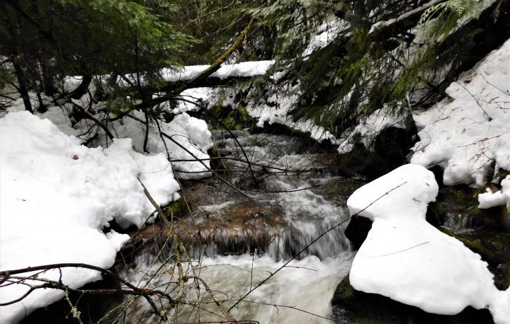 Stream 3